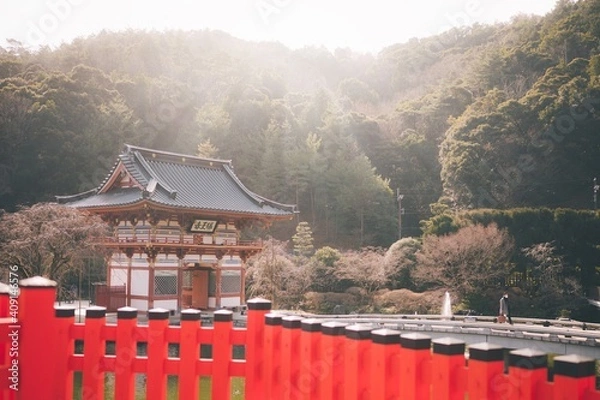 Fototapeta 冬の勝尾寺