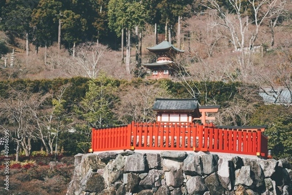 Fototapeta 冬の勝尾寺