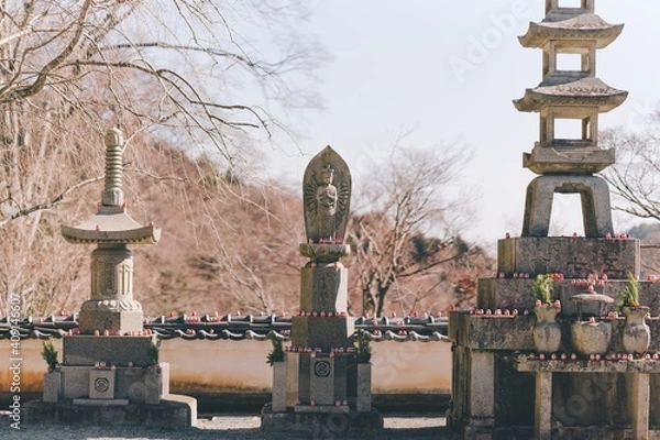 Fototapeta 冬の勝尾寺
