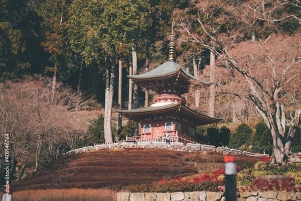 Fototapeta 冬の勝尾寺