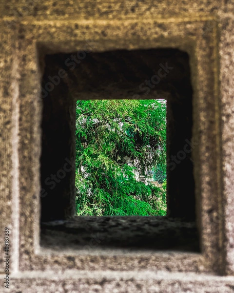 Fototapeta 緑の窓