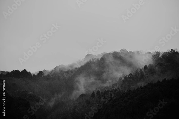 Fototapeta 山の靄（モノクロ）