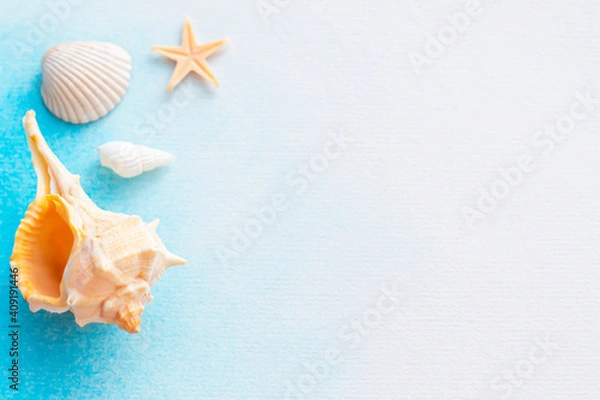 Fototapeta sea shells and starfish