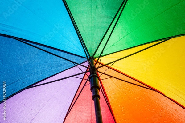 Obraz colorful umbrella in the rain