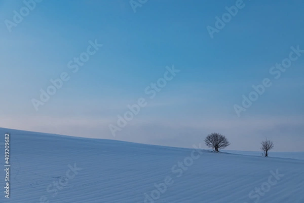 Obraz 美瑛の丘一日の始まり