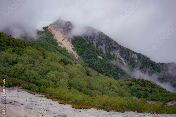 Obraz fog in the mountains