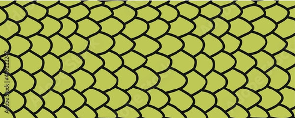 Obraz Escamas lisas de culebra