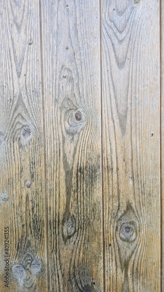 Obraz wood texture background