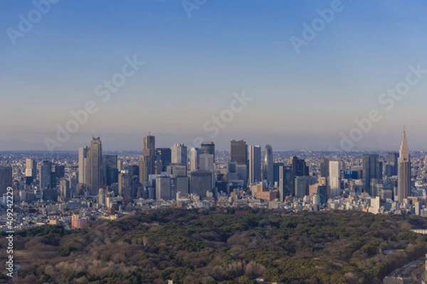 Fototapeta 東京都渋谷区から見た東京の夕景