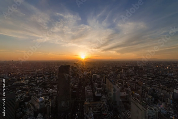 Fototapeta 東京都渋谷区から見た東京の夕景