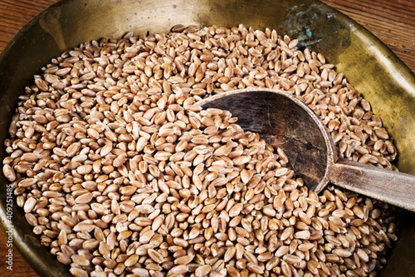 Obraz wheat in copper tray