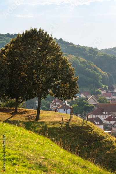 Obraz Beautiful tree on a tourist point of view of a French village.