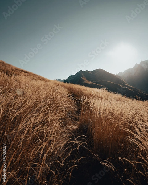 Obraz Mountain trail