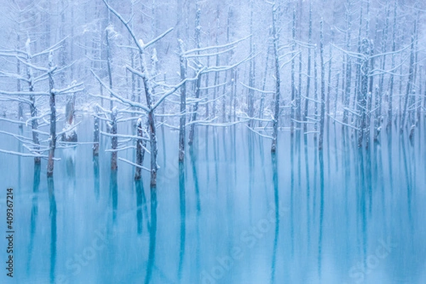 Fototapeta 美瑛町 青い池の冬の朝の風景