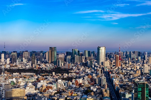 Fototapeta 東京都渋谷区から見た東京の都市景観