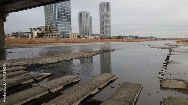 Obraz 多摩川　河原　川辺
