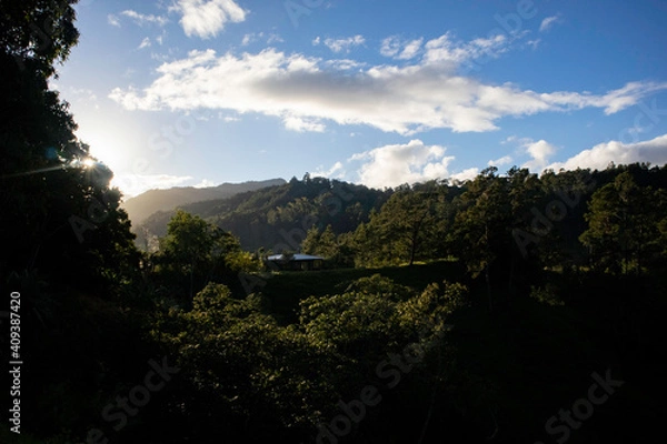 Fototapeta 
trees, sky, clouds, mountain, night