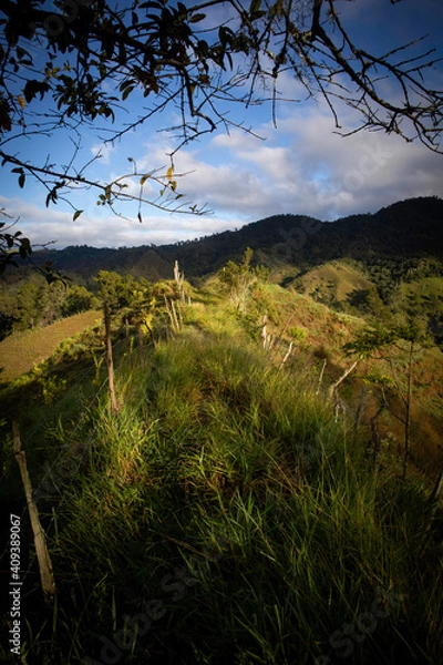 Fototapeta 
trees, sky, clouds, mountain, night