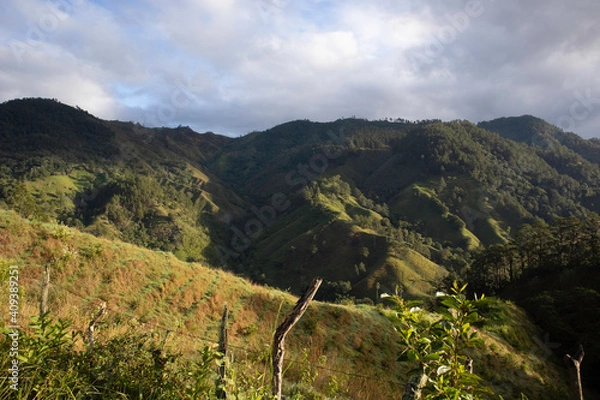Fototapeta 
trees, sky, clouds, mountain, night