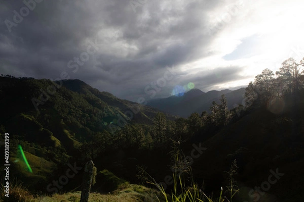 Fototapeta 
trees, sky, clouds, mountain, night