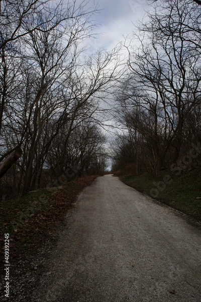 Fototapeta 
trees, sky, clouds, mountain, night