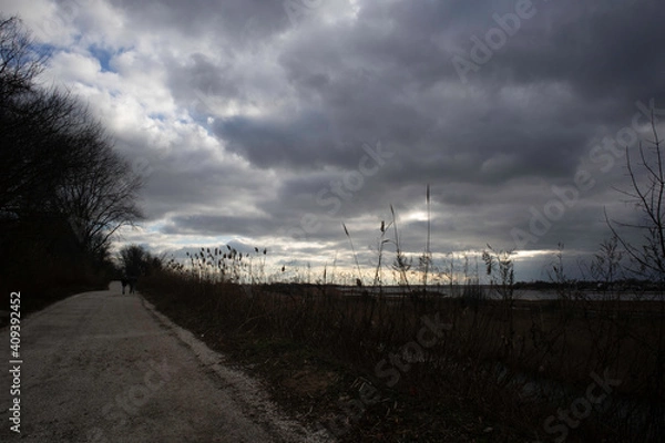 Fototapeta 
trees, sky, clouds, mountain, night