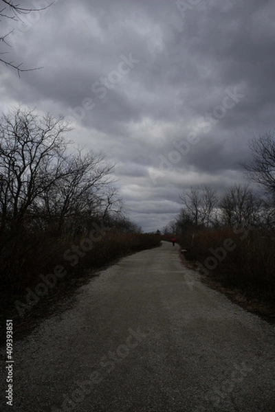 Fototapeta 
trees, sky, clouds, mountain, night