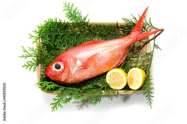 Obraz キンメダイ