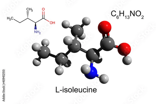 Fototapeta Chemical formula, structural formula and 3D ball-and-stick model of L-isoleucine, an essential amino acid, white background