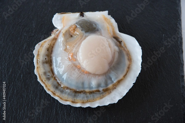Fototapeta ホタテ貝を開けて、真上からみた写真