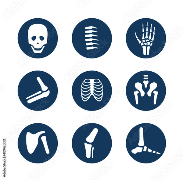 Fototapeta human bone and joint icon set