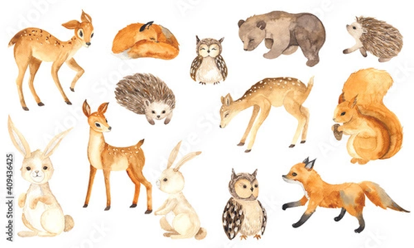 Obraz Watercolor Forest Animals elements with cute little deers, foxes, squirrel, hedgehogs, owls, bear, hares