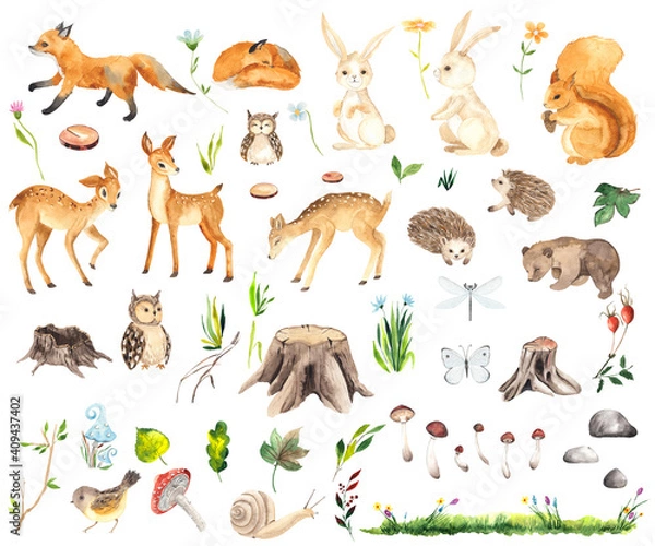 Obraz Watercolor Forest Animals elements with cute little deers, foxes, squirrel, hedgehogs, owls, bear, hares, stumps, mushrooms, flowers, twigs, grass, butterfly and dragonfly