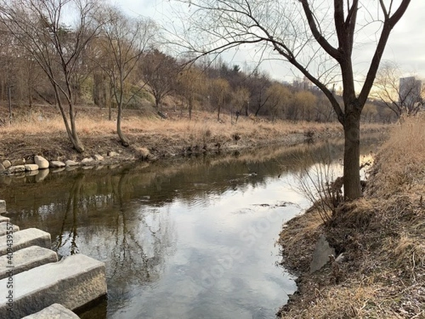 Obraz lake in the forest
