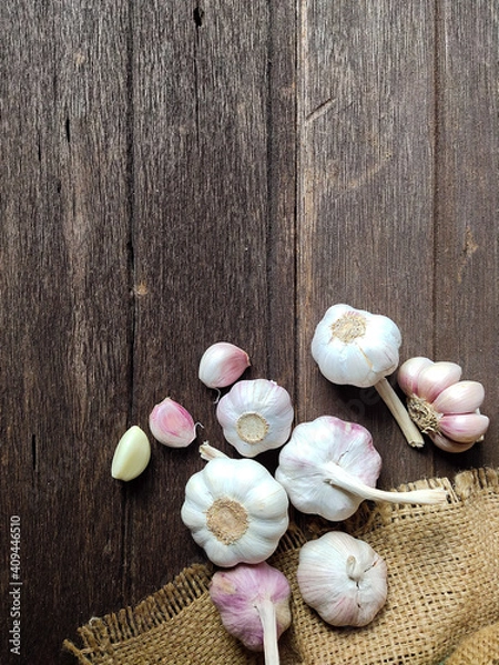 Obraz salt and shells