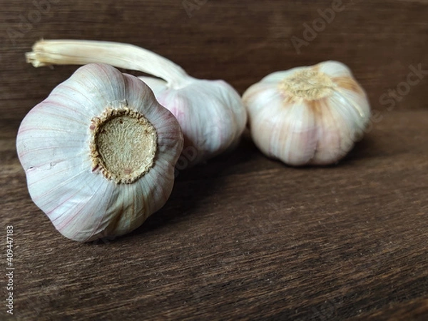 Obraz garlic
