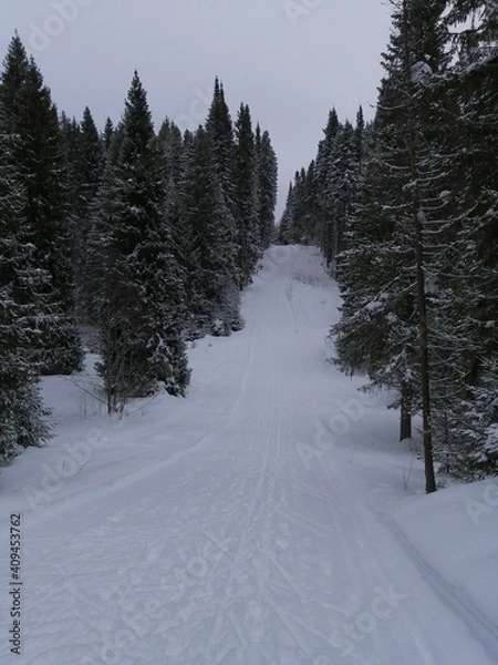 Fototapeta snow covered road