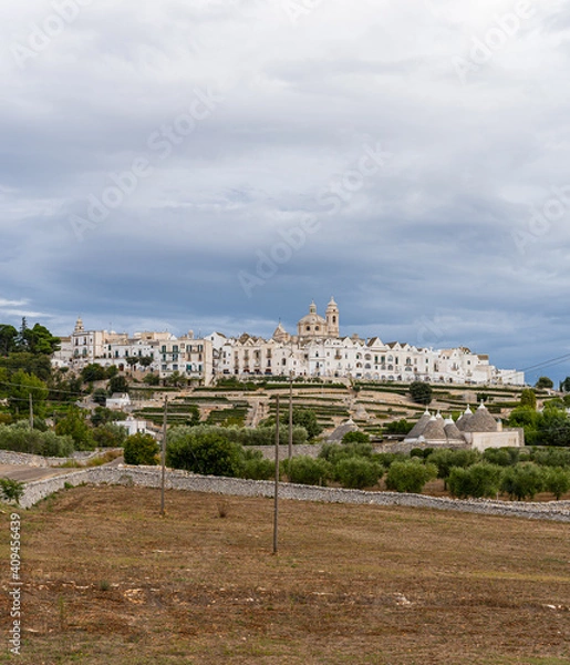 Fototapeta View of the skyline of Locortondo in Puglia from an olive tree field