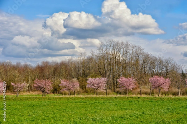 Obraz Frühlingslandschaft