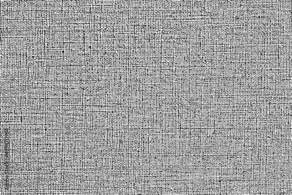 Obraz Vector fabric texture. Grunge background. Abstract halftone vector illustration.