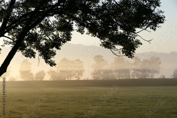 Fototapeta Sunlight breaks through the fog that lies over the rural field in front of the hill in the early morning