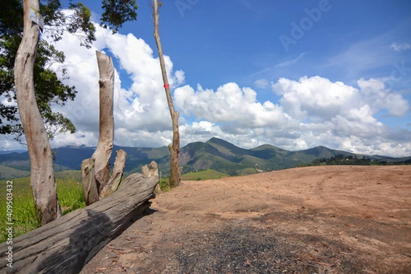 Obraz tree in the mountains