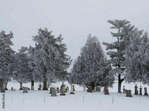 Obraz Cemetery in winter