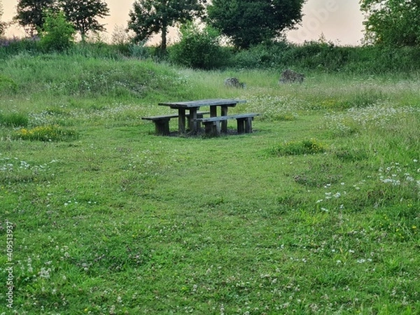 Obraz bench in the park