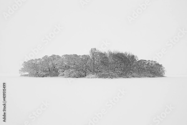 Obraz Horizontal landscape minimalistic photography of an oasis full of trees with a hoarfrost on branches among white endless field during foggy winter calm day