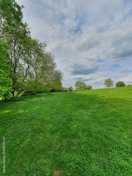 Obraz grass and blue sky