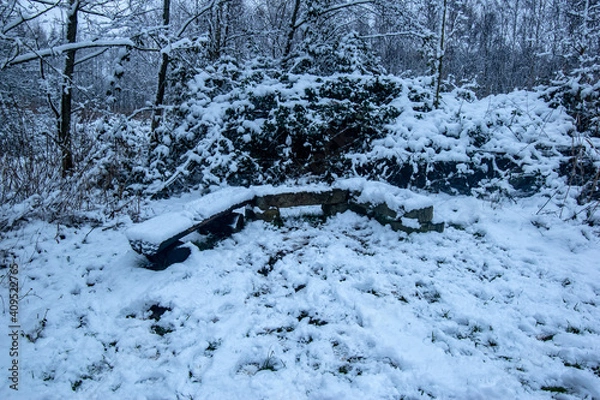 Obraz snow covered bench in forest