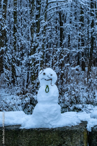 Obraz snowman in the forest