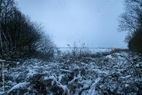 Obraz landscape with snow covered trees