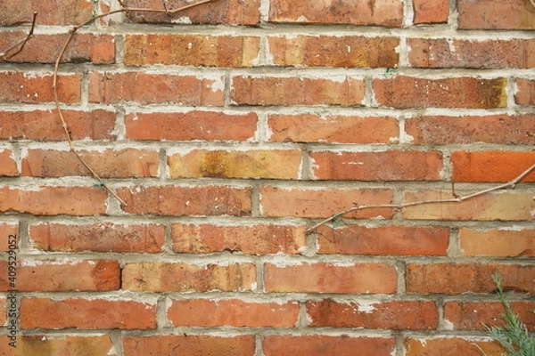 Obraz red brick wall